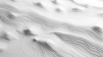3D topographic map in shades of grey and white, showcasing the intricate landscape features and elevations.