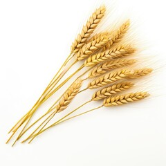 barley isolated on white generative AI