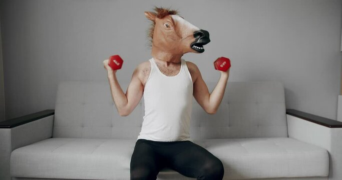 Funny man with horse mask doing exercise with weights for hand training on the white sofa at home. Comical fitness at home. Humorous stretches. Funny home workout.