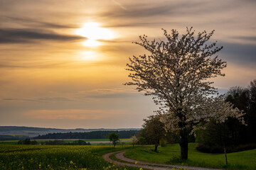 Obraz premium sunset in the city