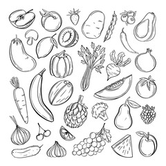 Fototapeta na wymiar Sketch fruits, vegetables. Carrots broccoli potato and carrot, salad mushroom, apple, grape, lemon, cherry farming vector, line art