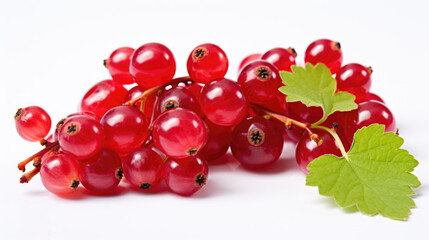 Red currant isolated on a white background.