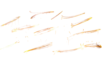 Set / Collection of gold glitter isolated on transparent background PNG cutout , ai generative

