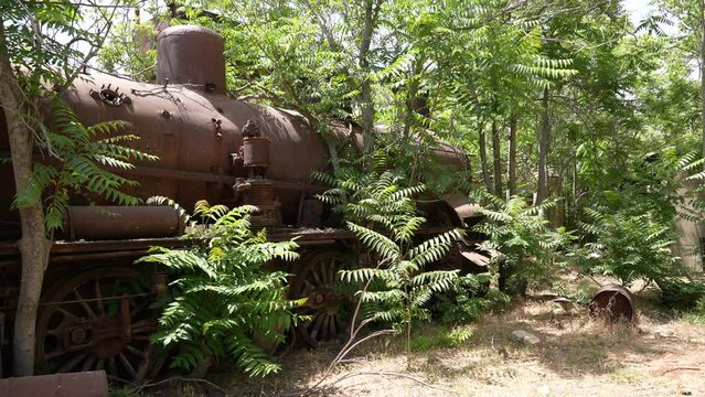 Old locomotive from Beirut&ndash;Damascus covered by plants Beqaa Rayak Lebanon