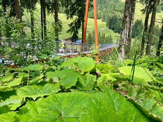 Der Talschluss bei Saalbach-Hinterglemm