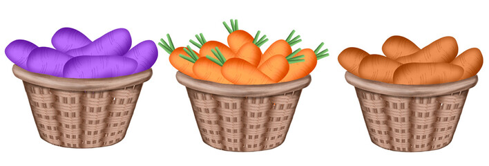 Carrot and potato in wooden baskets