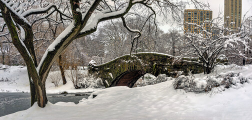 Gapstow Bridge in Central Park, wnter