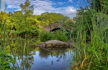 Fototapete Gapstow-Brücke Gapstow Bridge in Central Park