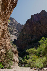 Big Bend National Park Canyon Below with Hiker Photo