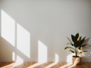 a white wall as a background with light shadows of leafs