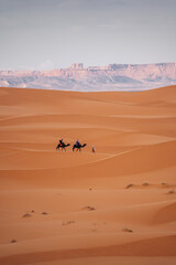 Camels in Sahara Morocco: Experience desert journeys atop these gentle creatures, exploring the vast dunes and embracing the magic of the Sahara. High quality photo - 632677409