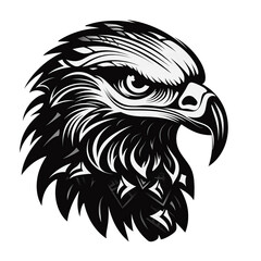Eagle head isolated on white background