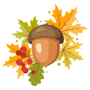 recommend clip art: Autumn fall clip art. Acorn and colorful leaves.