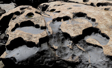 Pattern on dark rock at the sea shore