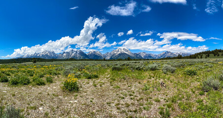 Grand Teton panoramic 