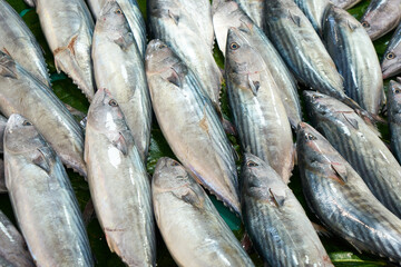 fresh fish in bazaar