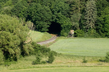 Schienen einer Bahnstrecke führen in einen Tunnel aus Bäumen