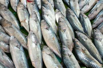 fresh fish in bazaar