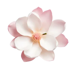 Zelfklevend Fotobehang Isolated white background magnolia flower with clipping path. © Ilgun