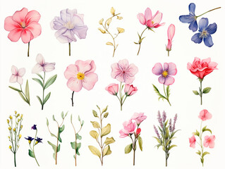 Obraz na płótnie Canvas Watercolor flowers set isolated on white background. Hand drawn illustration.AI Generated