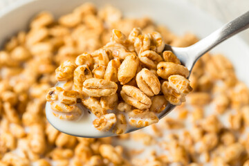 Healthy Sweet Puffed Wheat Breakfast Cereal