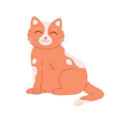 Cat without one paw. Cat with an amputated paw. Veterinarian, veterinary clinic, injured cat. Vector illustration in flat style