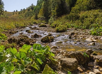 the beginning of autumn, nature walks, mountain river, infrastructure and panoramic views of the mountains, hiking trails and recreation in the mountains.