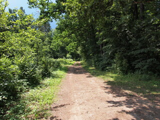 Białowieża (Hajnówka County, Podlasie Province, Poland)