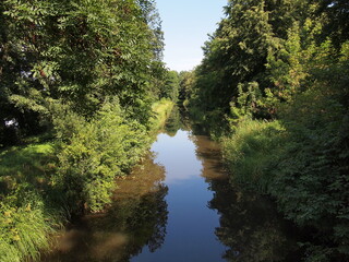 Białowieża National Park - Palace Park (Hajnówka County, Podlasie Province, Poland)