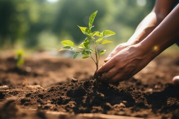 Tree Planting Day: Planting Saplings for Reforestation  Generative AI