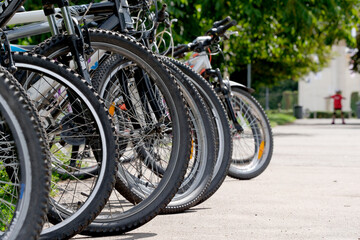 Bicycles stand in a row at the rental point