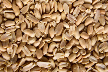 Peeled peanuts for a close-up background. Halves of roasted, peeled and salted peanuts for the...