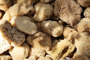 Natural dry bath sponges at local market in a sunny day. Morning or evening beauty routine. Beauty care for face or body concept. Symi Island in Greece. Soft focus