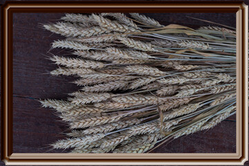 ears of wheat, framed by a frame