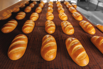 Automated bakery production line, food industry. Fresh Dessert bread baking in oven