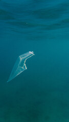 Serene Seascape: Lone Plastic Fragment Afloat in Pristine Blue Waters