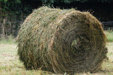 Roll of mown grass to store as livestock feed