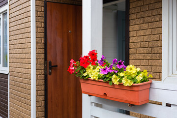 hanging flower bed with flowers on the veranda of the house