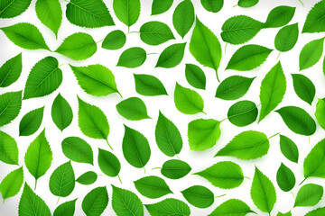 Green leafs layout background texture