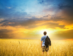 Man on yellow wheat meadow.
