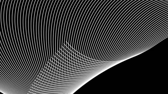 Abstract geometric rotate white line wave animation. Black background 4k video.
