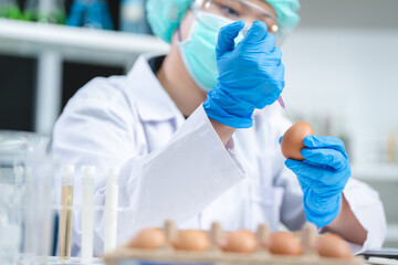 Scientist testing gmo egg for quality control of eggs in chemical laboratory, Food science expert...