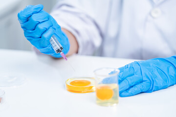 Scientist testing gmo egg for quality control of eggs in chemical laboratory, Food science expert inspecting a dairy product, Agriculture farm production industry, biotechnology medicine research