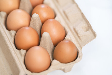 Scientist testing gmo egg for quality control of eggs in chemical laboratory, Food science expert inspecting a dairy product, Agriculture farm production industry, biotechnology medicine research