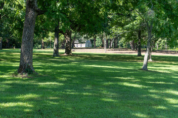 Nature in July
