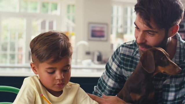 Father holding pet dachshund in kitchen at home with son sitting at table helping with homework - shot in slow motion