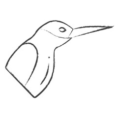 Hand drawn Hummingbird illustration icon