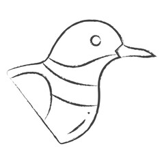 Hand drawn Killdeer bird illustration icon