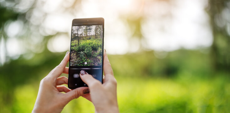 Woman making photo on the smart phone of nature outdoors