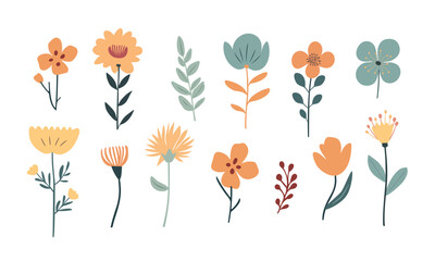 Set of vector illustrations of flowers in doodle style on a white background. for design and invitations.   © Lana